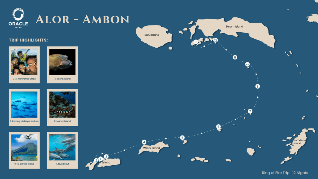 Sailing map of The Oracle Yacht’s 12-night Ring of Fire expedition route from Alor to Ambon, highlighting key dive and cultural sites across Eastern Indonesia.