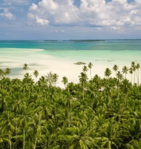 Pristine turquoise waters and coconut palms along a remote island coastline in Eastern Indonesia.
